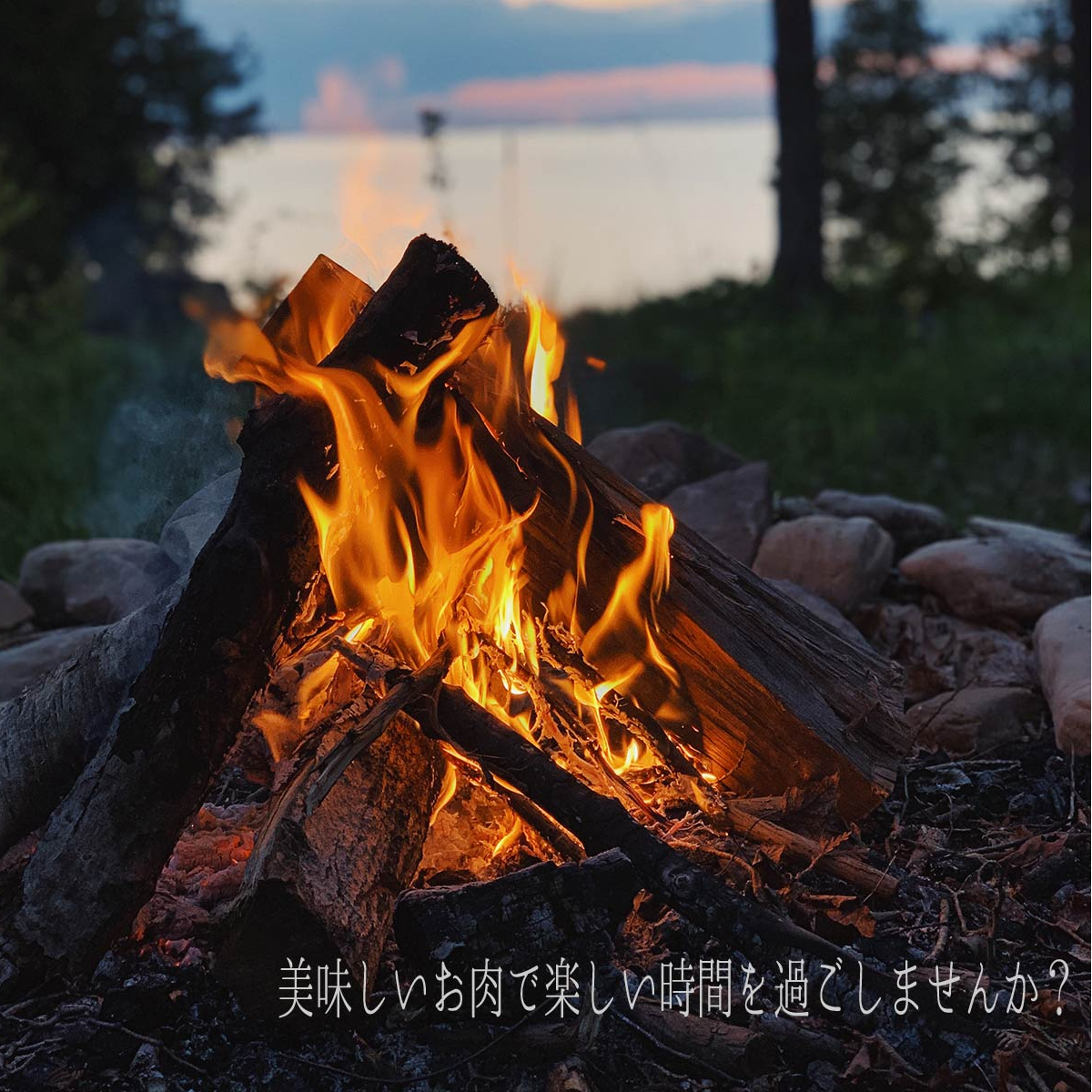 厚切り豚バラの昆布締め 約500g q キャンプ バーベキュー パーティー 焼肉 豚肉 当店の記念日 バーベキュー 厚切り豚バラの昆布締め 約500g q キャンプ バーベキュー パーティー 焼肉 豚肉 当店の記念日 バーベキュー